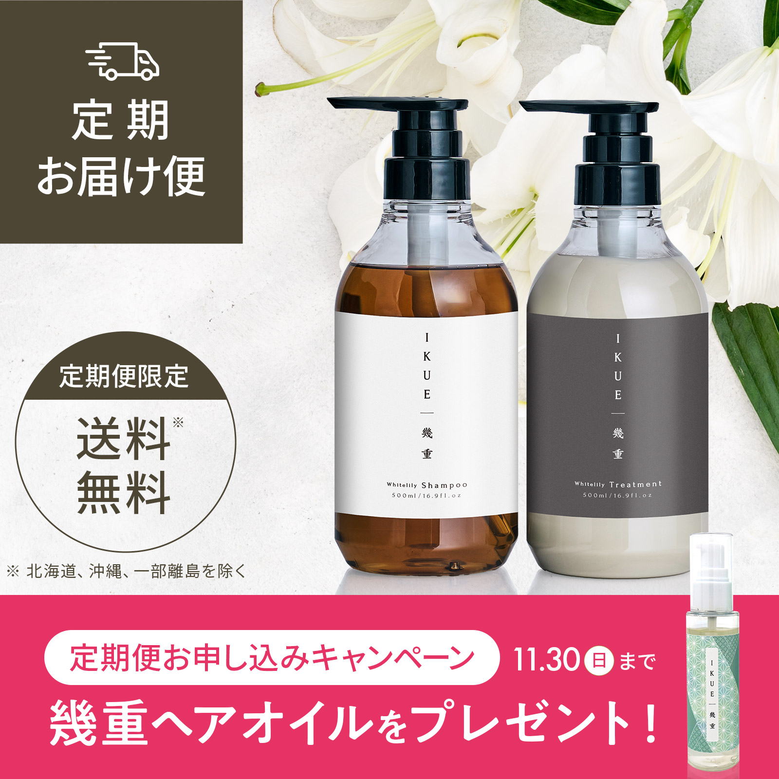 定期便 IKUE | 幾重 シャンプー