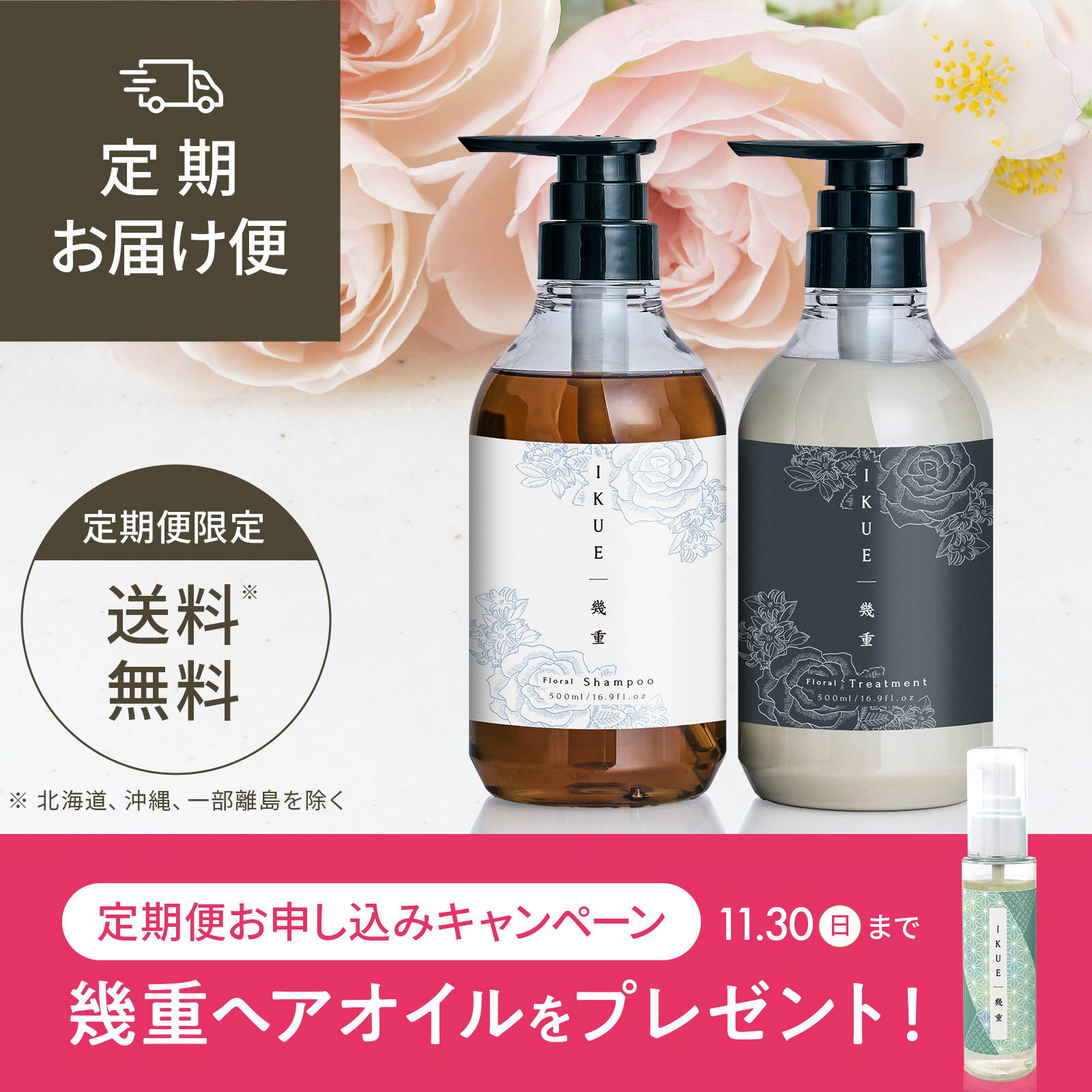 定期便 IKUE | 幾重 シャンプー