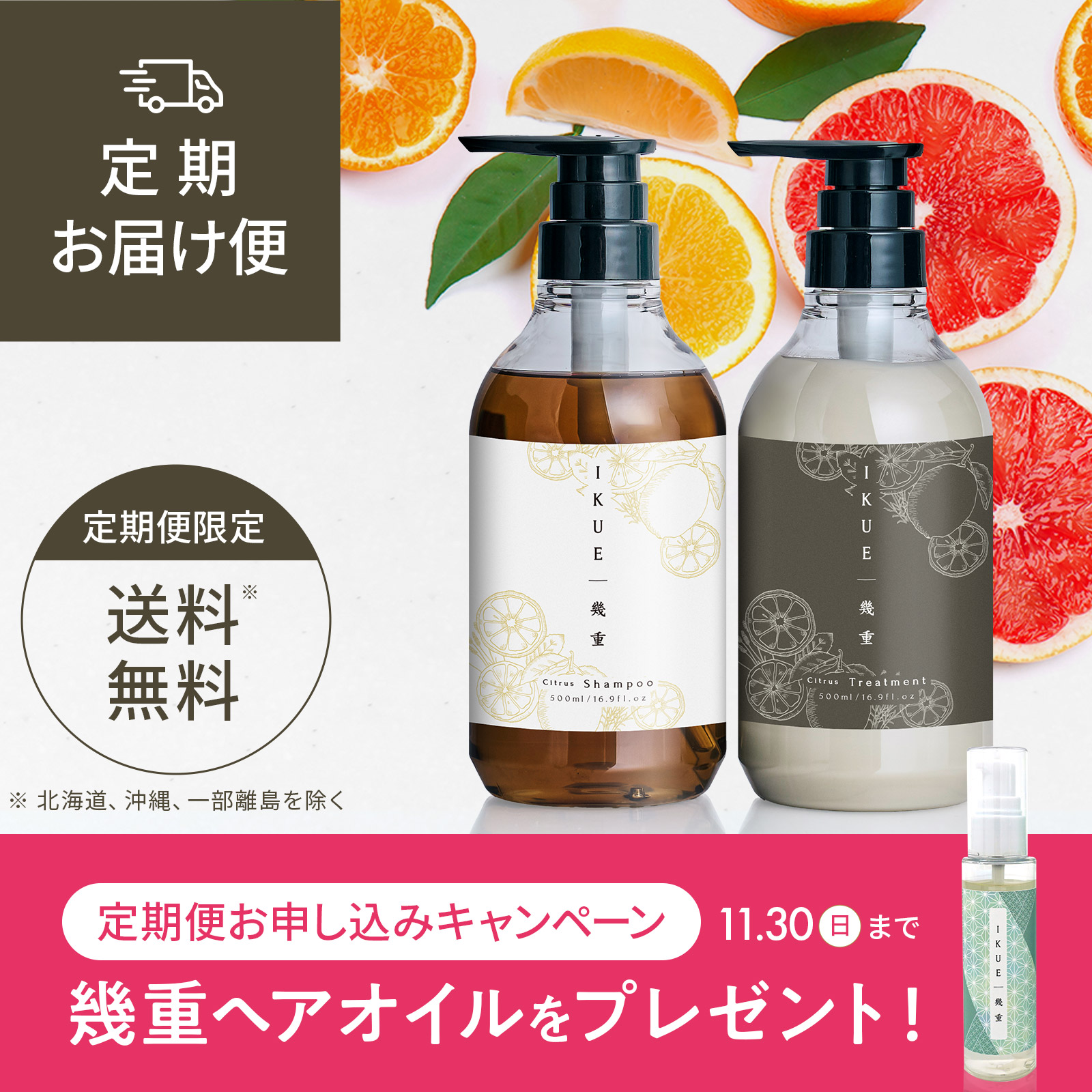 定期便  IKUE | 幾重 シャンプー